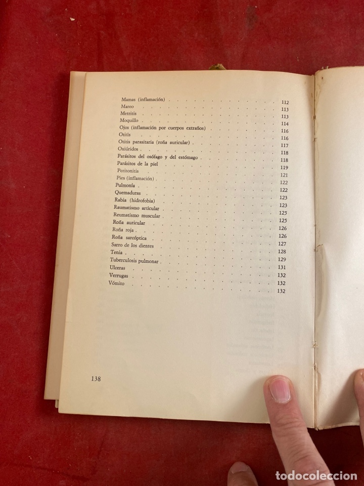 Libros: EL SETTER - Foto 6