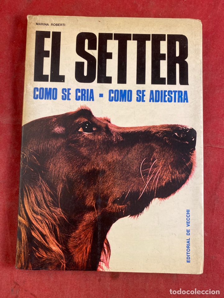 Libros: EL SETTER - Foto 1