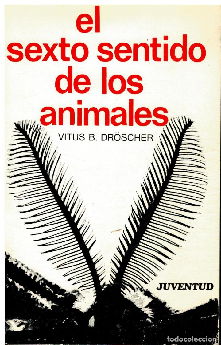 Libros: EL SEXTO SENTIDO DE LOS ANIMALES. 1&ordf; ed. espa&ntilde;ola. - Foto 1