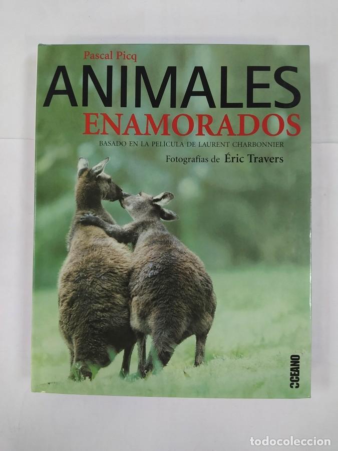 Libros: ANIMALES ENAMORADOS. - PASCAL PICQ. TDK485 - Foto 1