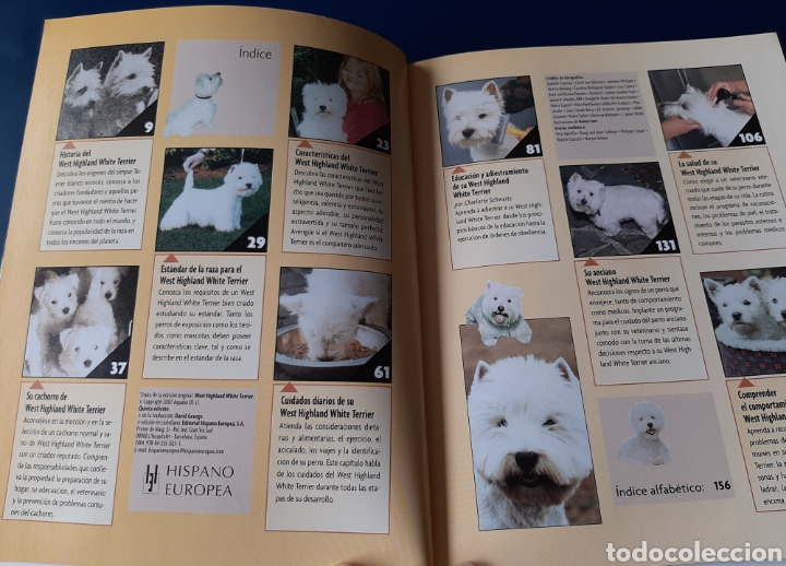 Libros: RAZAS HOY PERRO WEST HIGHLAND WHITE TERRIER COMPRA MINIMA 5&euro; - Foto 6