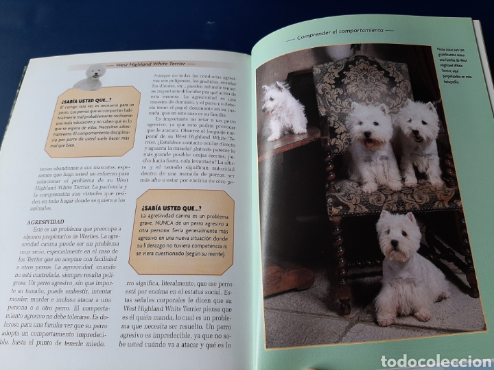 Libros: RAZAS HOY PERRO WEST HIGHLAND WHITE TERRIER COMPRA MINIMA 5&euro; - Foto 8