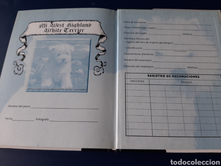 Libros: RAZAS HOY PERRO WEST HIGHLAND WHITE TERRIER COMPRA MINIMA 5&euro; - Foto 9