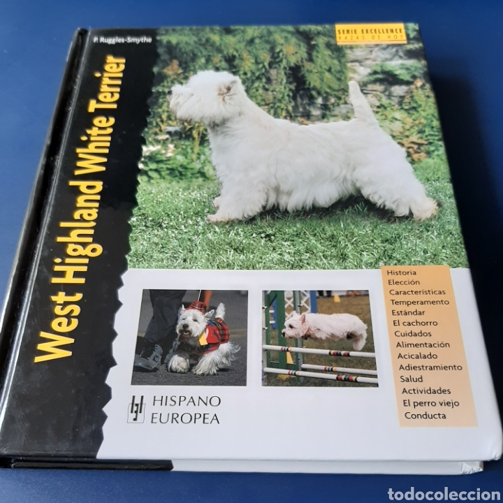 Libros: RAZAS HOY PERRO WEST HIGHLAND WHITE TERRIER COMPRA MINIMA 5&euro; - Foto 1