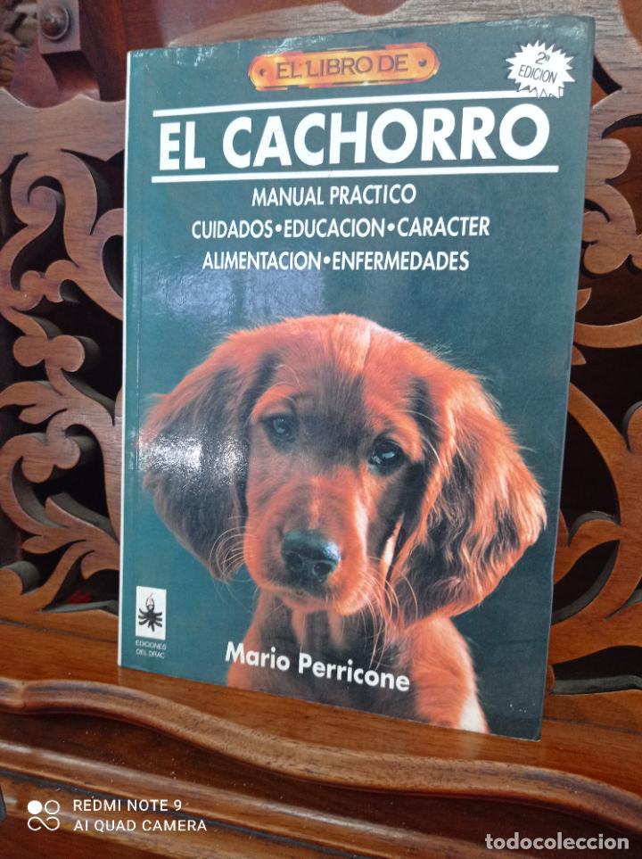 Libros: EL LIBRO DE EL CACHORRO, MARIO PERRICONE. EDICIONES DEL DRAC 1993. - Foto 2