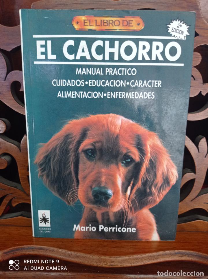 Libros: EL LIBRO DE EL CACHORRO, MARIO PERRICONE. EDICIONES DEL DRAC 1993. - Foto 1