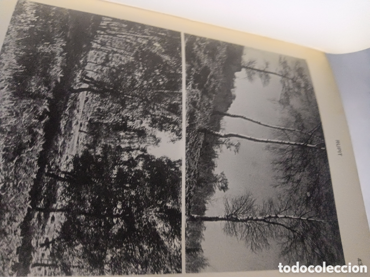 Libros: RUPIT GUIA TURISTICA PER RAMON VINYETA - Foto 5