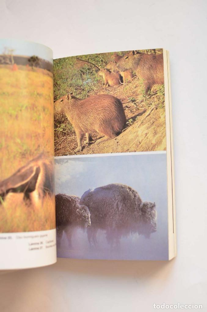 Libros: El planeta viviente - ATTENBOROUGH, David - Foto 3