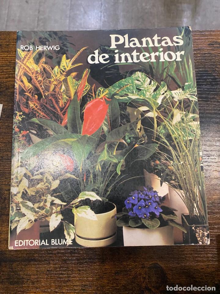 Libros: PLANTAS DE INTERIOR- ROB HERWIG - Foto 1