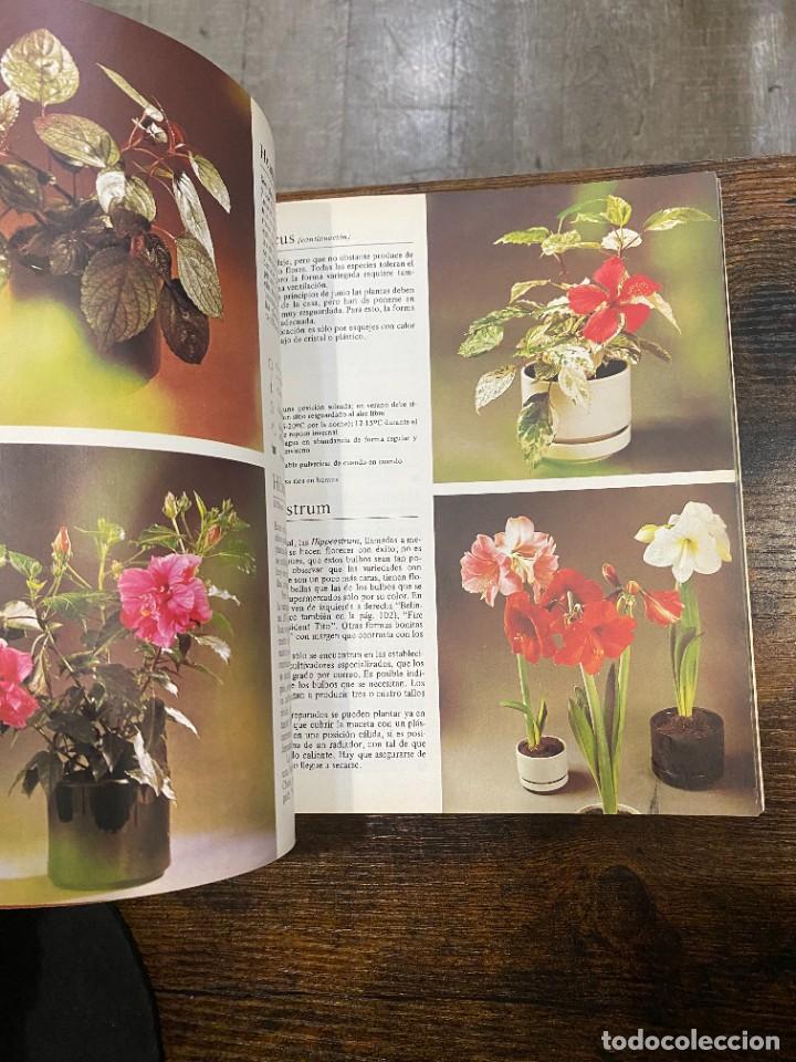 Libros: PLANTAS DE INTERIOR- ROB HERWIG - Foto 2