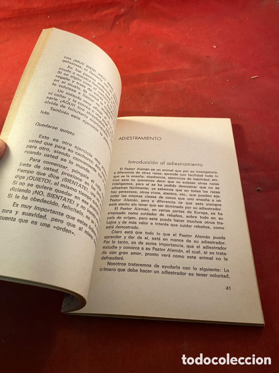Libros: PASTOR ALEM&Aacute;N - Foto 2