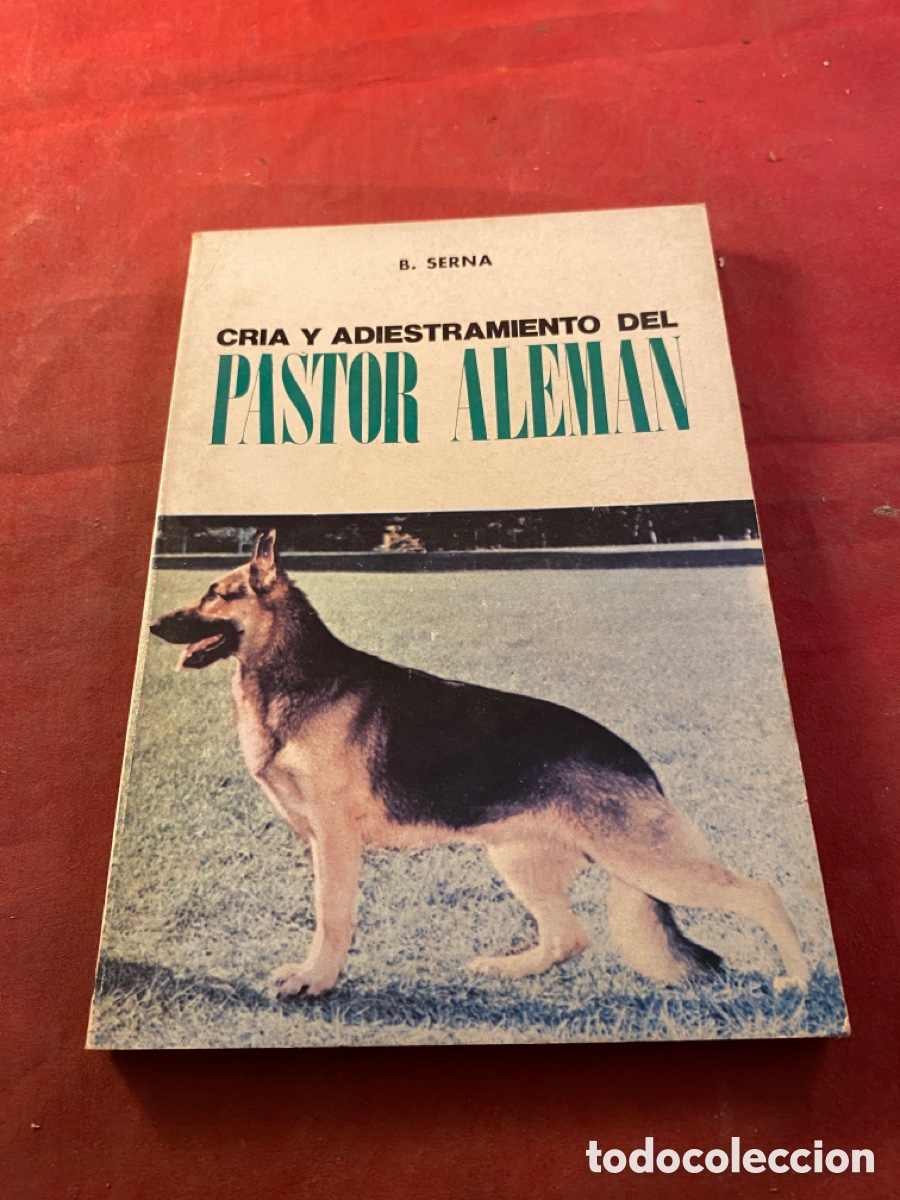 Libros: PASTOR ALEM&Aacute;N - Foto 1