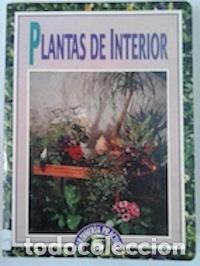 Libros: Plantas de interior - Pierre Nessmann - Foto 1