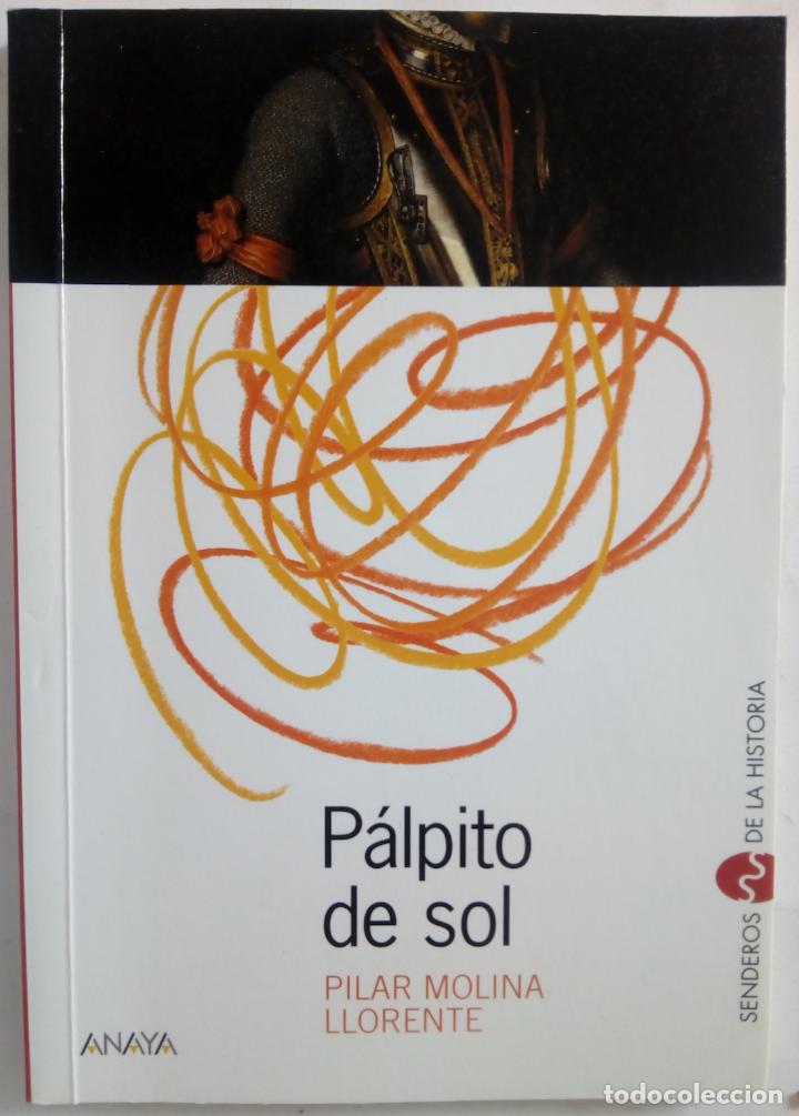 Libros: P&aacute;lpito de sol - Pilar Molina Llorente - Foto 1