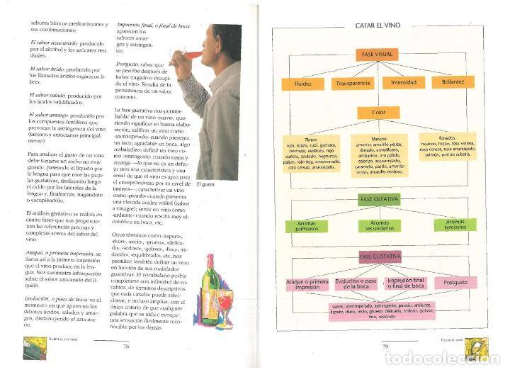 Libros: MANUAL DE LOS VINOS DE ESPA&Ntilde;A. - Pedro Plasencia. - Foto 4