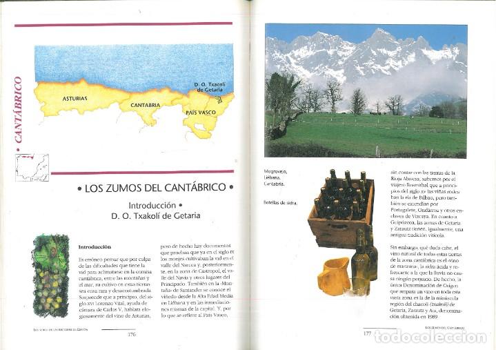 Libros: MANUAL DE LOS VINOS DE ESPA&Ntilde;A. - Pedro Plasencia. - Foto 8