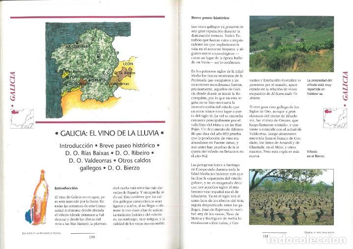 Libros: MANUAL DE LOS VINOS DE ESPA&Ntilde;A. - Pedro Plasencia. - Foto 9