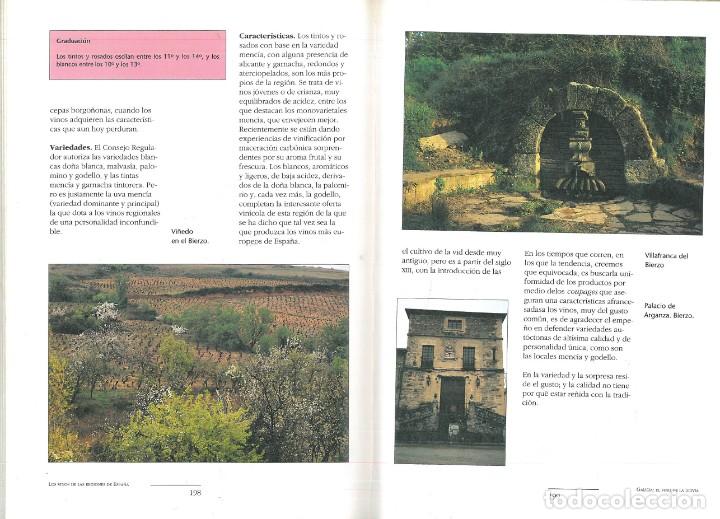 Libros: MANUAL DE LOS VINOS DE ESPA&Ntilde;A. - Pedro Plasencia. - Foto 11