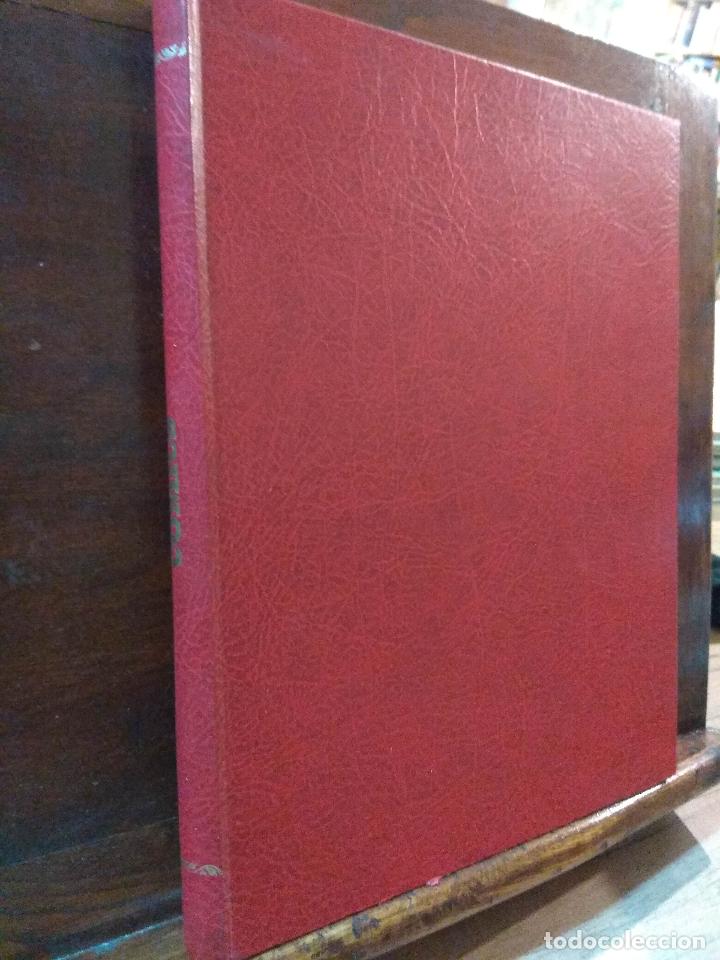 Libros: Comics - Foto 1