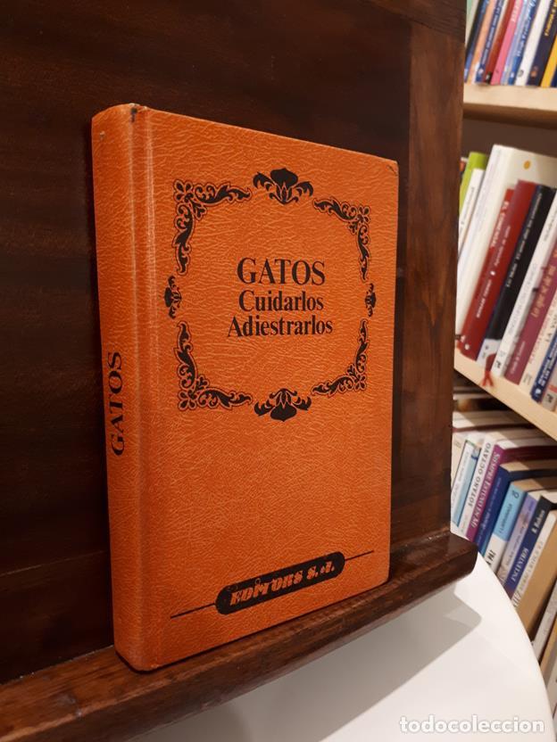 Libri di seconda mano: Gatos Cuidarlos Adiestrarlos