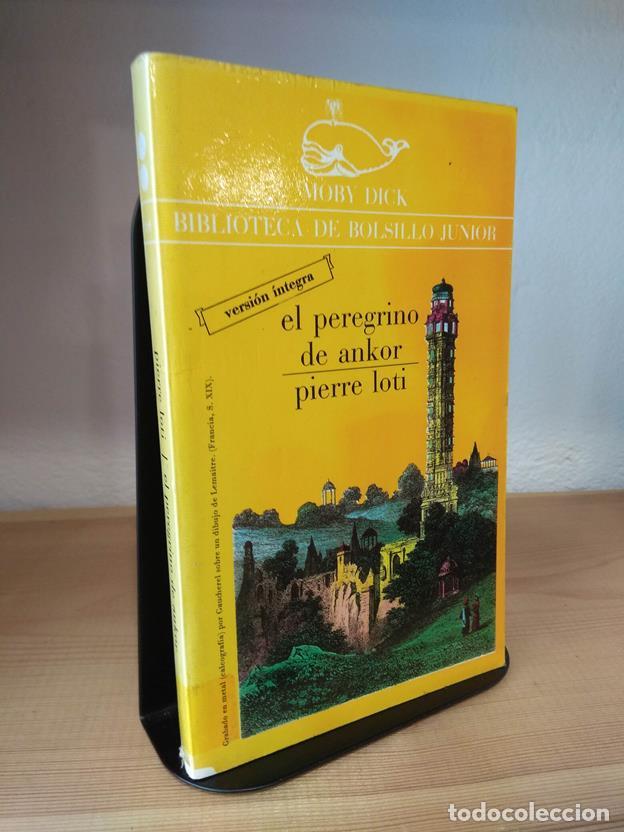 Libros: El peregrino de Ankor - Foto 1