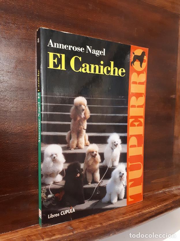 Libros: El caniche - Foto 1
