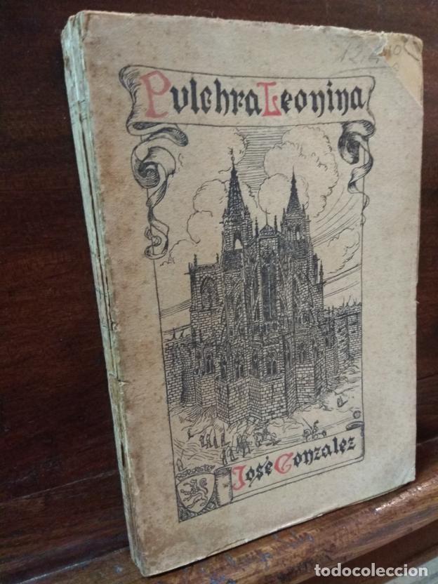 Libros: Pulchra Leonina - Foto 1