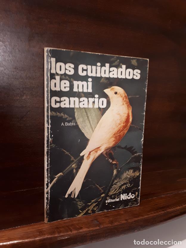 Libros: Los cuidados de mi canario - Foto 1