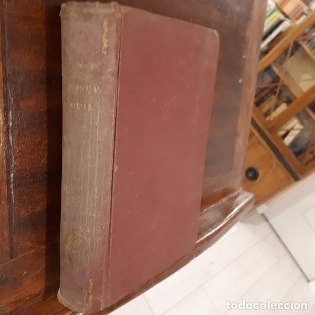 Libros: Esas hojas ca&iacute;das