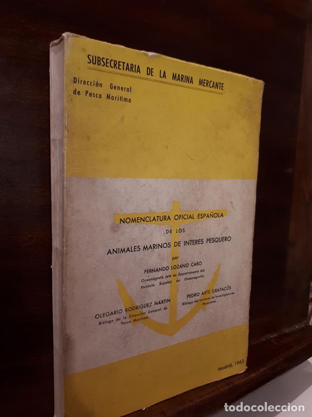 Libri di seconda mano: Nomenclatura oficial espa&ntilde;ola de los animales marinos de interes pesquero