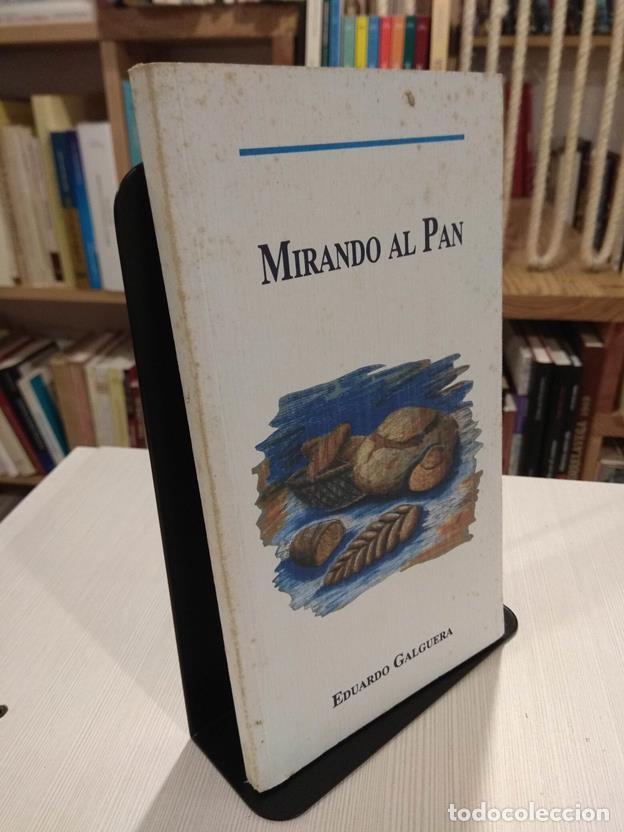 Libros: Mirando al pan - Foto 1