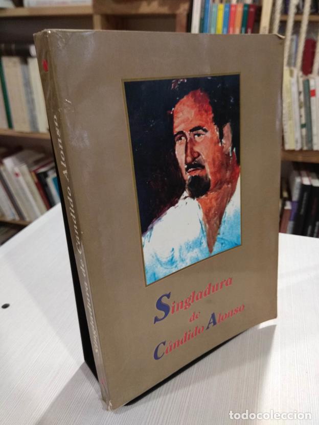 Libros: Singlatura de C&aacute;ndido Alonso - Foto 1