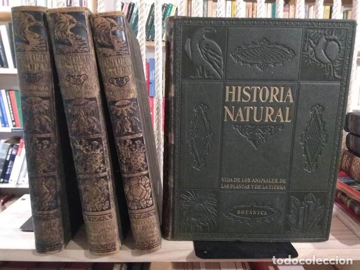 Libros: Historia natural (4 tomos) - Foto 1