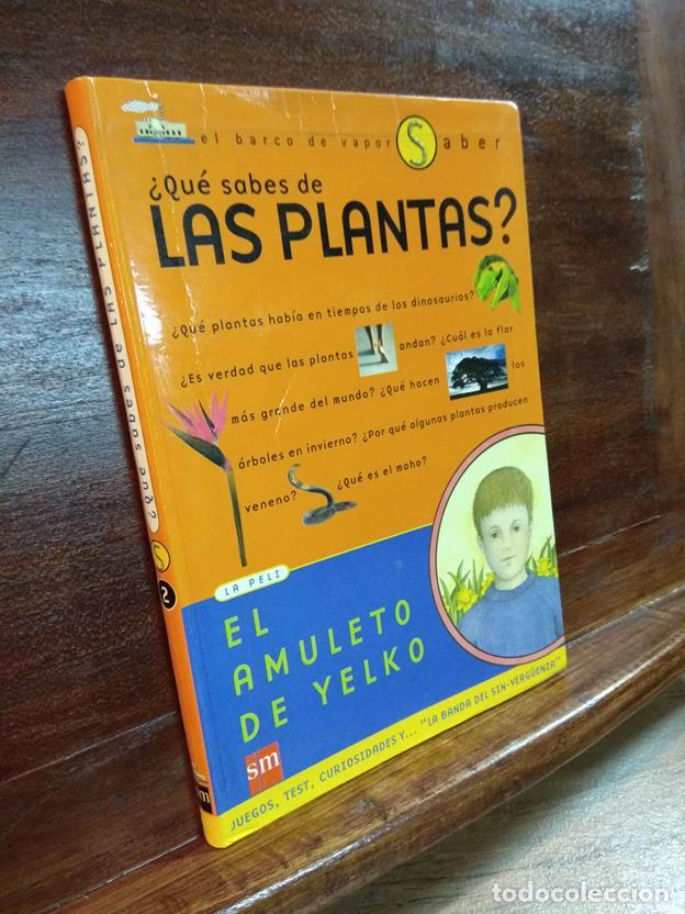 Libros: &iquest;Qu&eacute; sabes de las plantas? El amuleto de Yelko - Foto 1