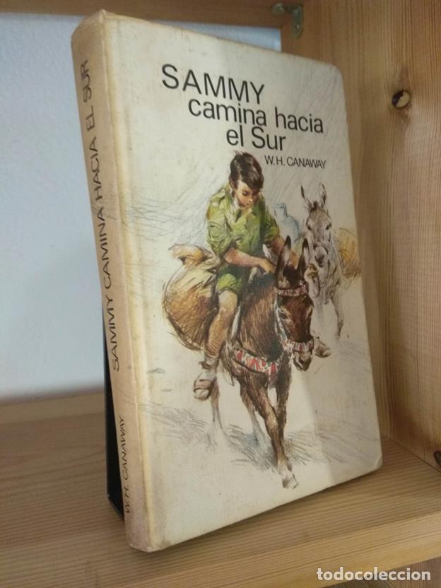 Libros: Sammy camina hacia el sur - Foto 1
