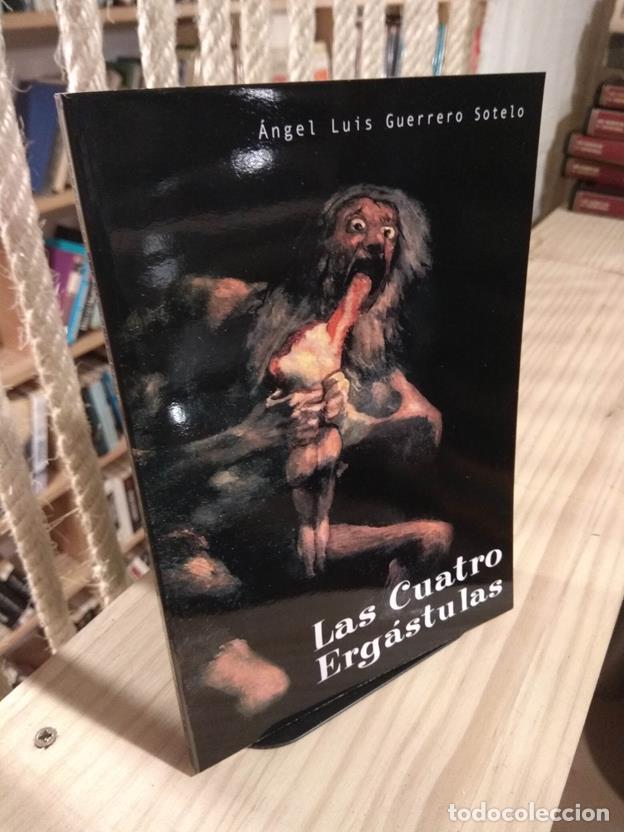 Libros: Las cuatro Erg&aacute;stulas - Foto 1