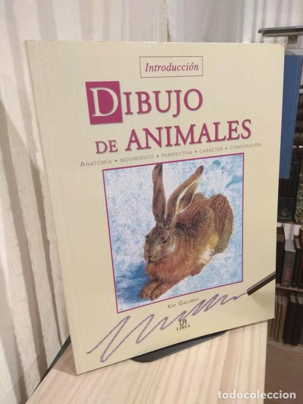 Libros: Introducci&oacute;n Dibujo de animales - Foto 1