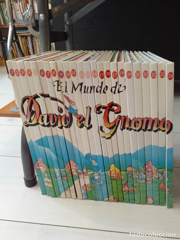 Libros: El mundo de David el Gnomo (24 tomos) - Foto 1