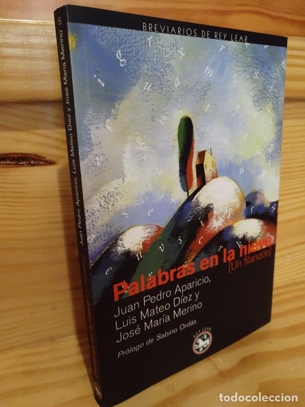 Libros: Palabras en la nieve - Foto 1