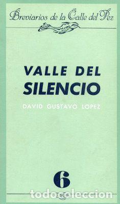 Libros: VALLE DEL SILENCIO - David Gustavo Lopez - Foto 1