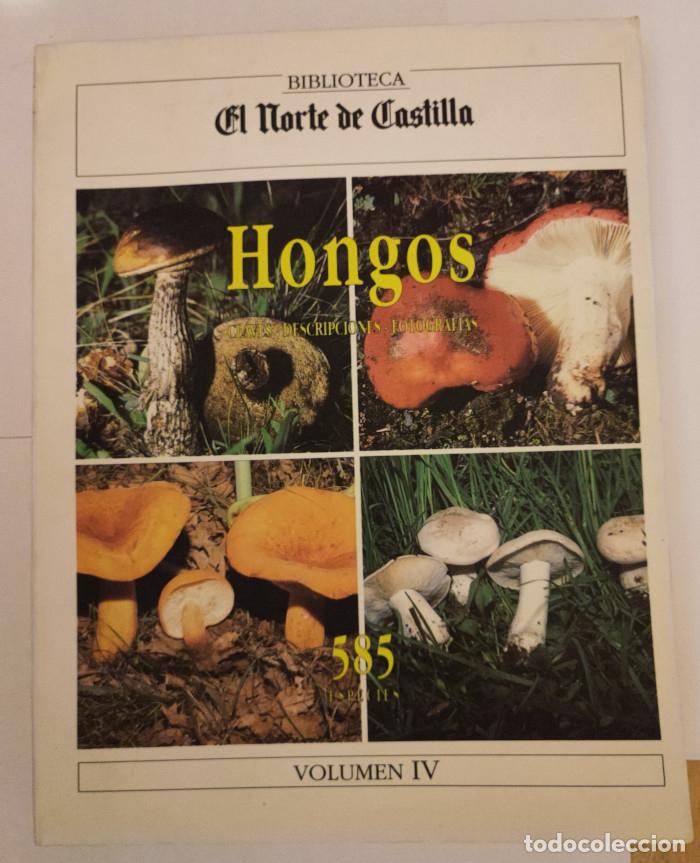 Libros: HONGOS (VOLUMEN 4) - VV.AA. - Foto 1