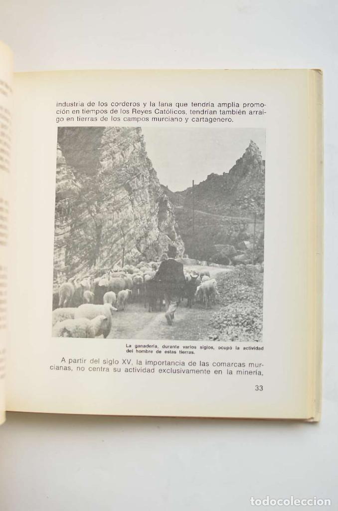 Libros: Historias del comercio murciano - ALONSO NAVARRO, Seraf&iacute;n - Foto 5