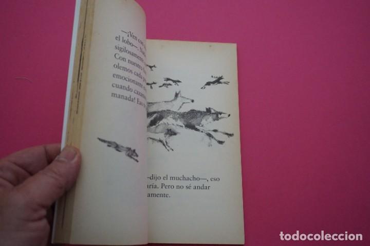 Libros: AMF-15F/ HERMANO DE LOS OSOS - KATHE RECHEIS / SOPA DE LIBROS - Foto 4