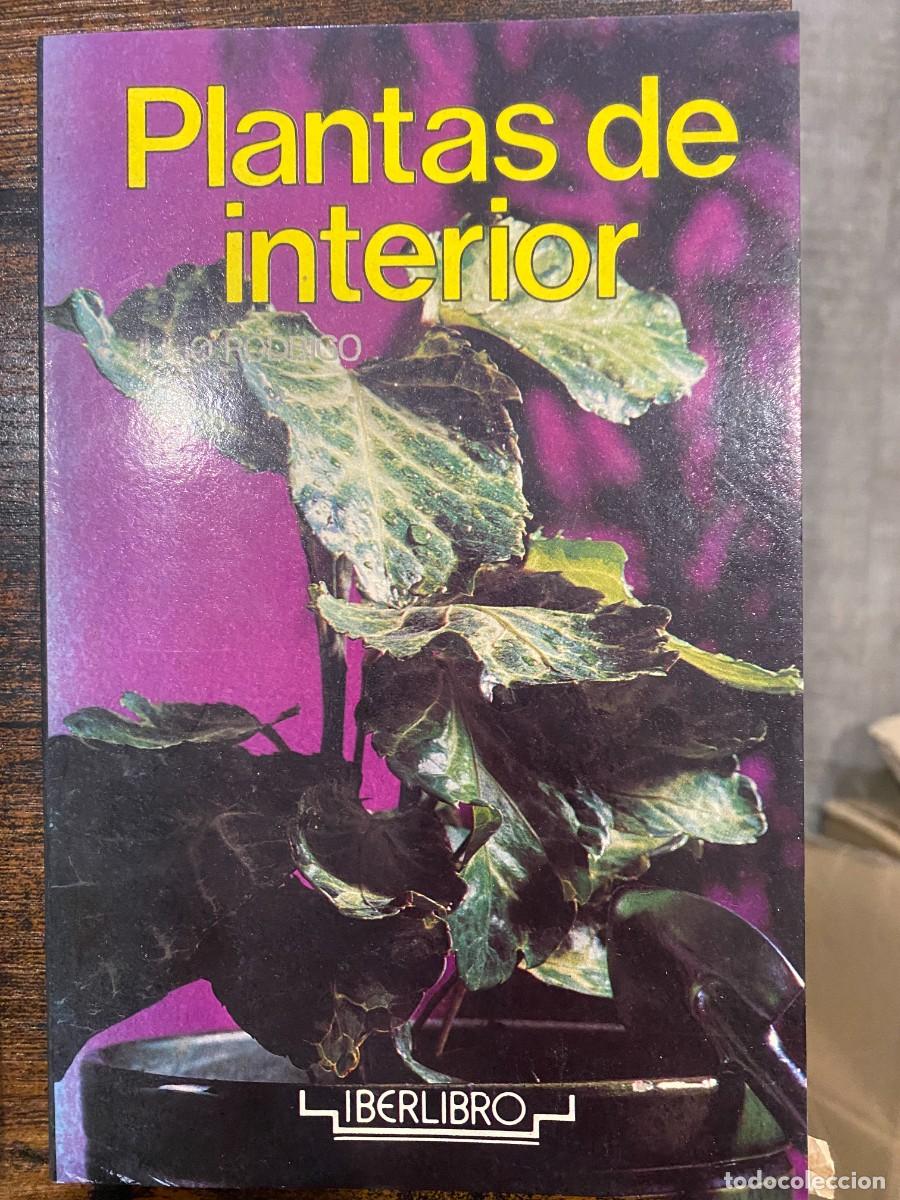 Libros: PLANTAS DE INTERIOR - JULIO RODRIGO - Foto 1