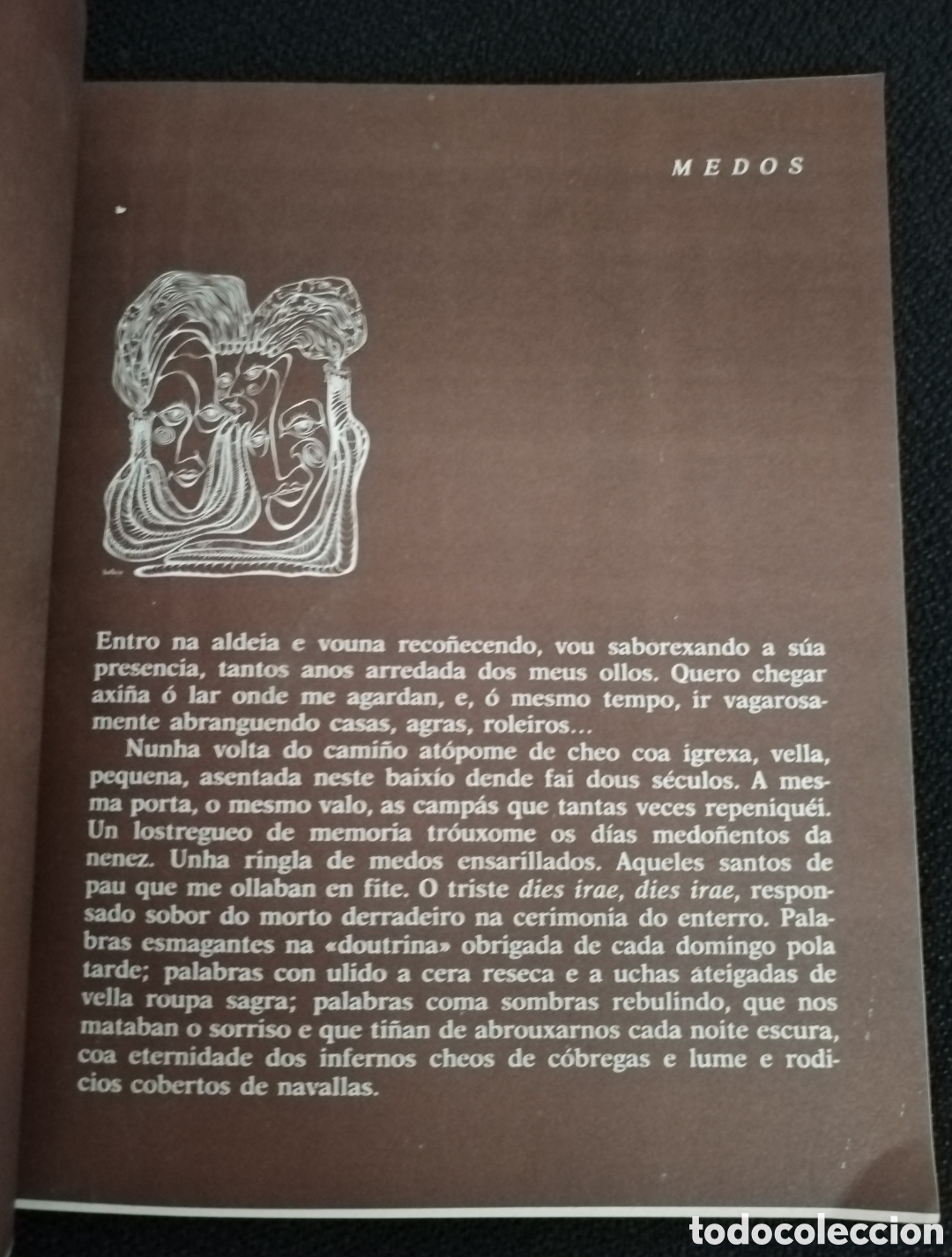 Libros: LAR - XOS&Eacute; NEIRA VILAS - Foto 4