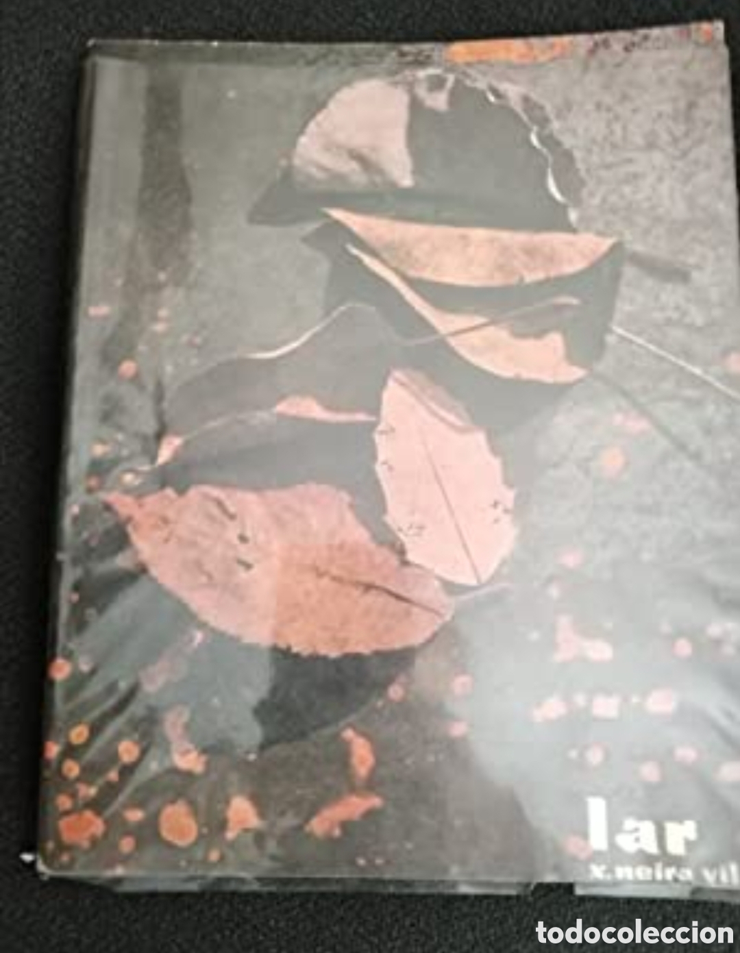 Libros: LAR - XOS&Eacute; NEIRA VILAS - Foto 1