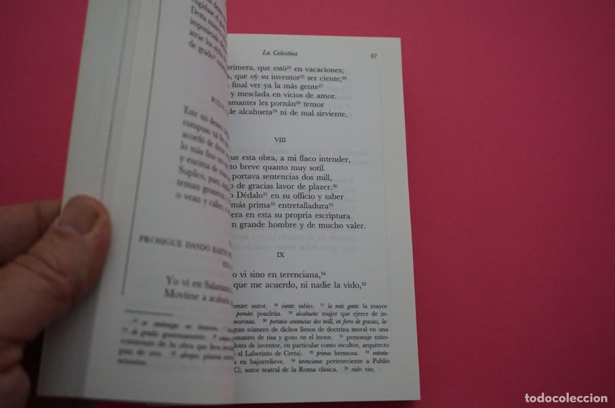 Libros: AMF-15E/ LA CELESTINA - FERNANDO DE ROJAS / CASTALIA - Foto 4