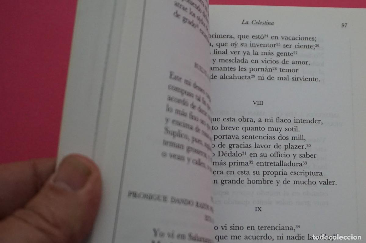 Libros: AMF-15E/ LA CELESTINA - FERNANDO DE ROJAS / CASTALIA - Foto 5