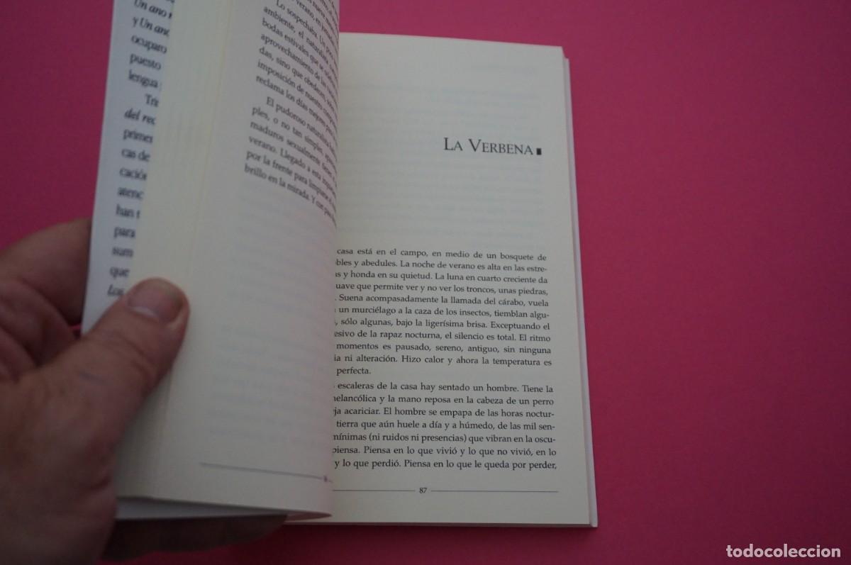 Libros: AMF-15E/ VENTANAS AL CAMPO - JORGE DE VIVERO / TRIS TRAM - Foto 3