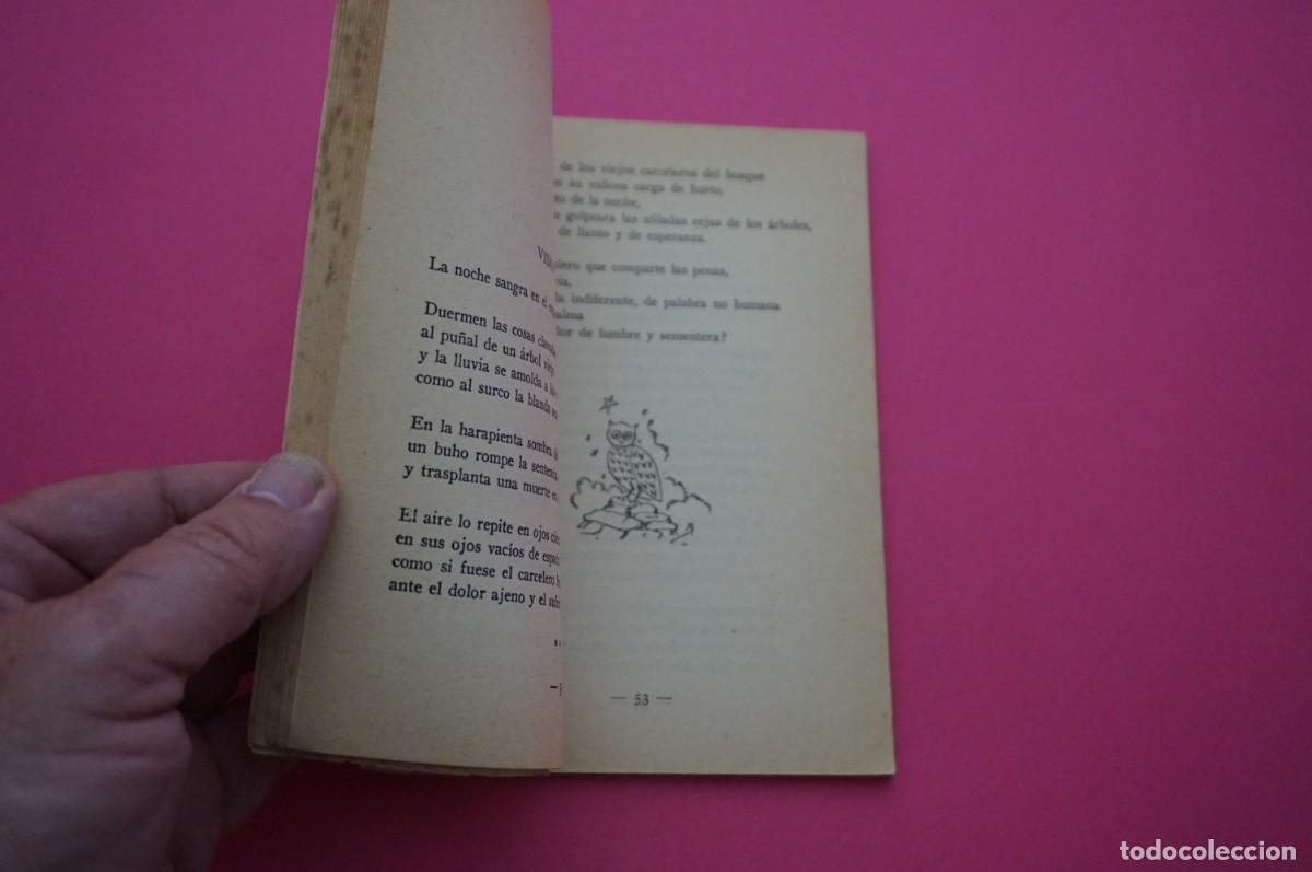 Libros: AMF-15E/ ESPINAS EN EL BARRO - DIMAS KIEW / ESCELICER - Foto 3